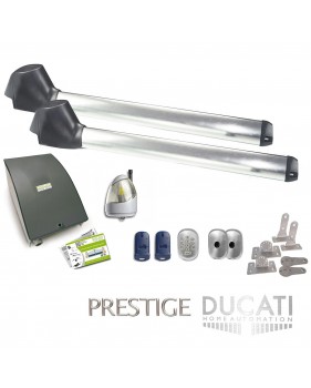 Kit Motorisation Portail Automatisme Ducati Home Automation EVO 748 - Pour portail à 2 vantaux
