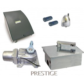 Kit Motorisation Portail Automatisme Ducati Home Automation GEO 548B MONO - Pour portail battant