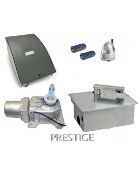 Kit Motorisation Portail Automatisme Ducati Home Automation GEO 548B MONO - Pour portail battant